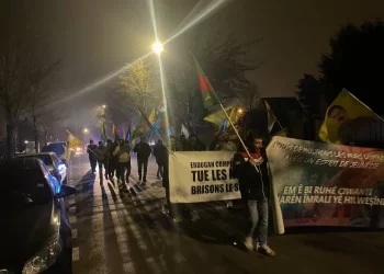 Li Grîngnyê ji bo Rêber APO û Rojava çalakî