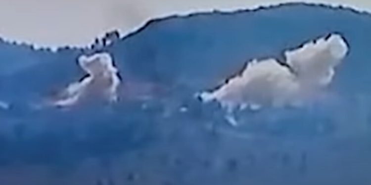 QSD’ê bîlançoya 24 saetan eşkere kir