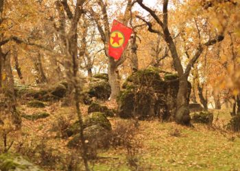 Li Zapê Operasyona Şoreşgerî: 10 dagirker hatin cezakirin