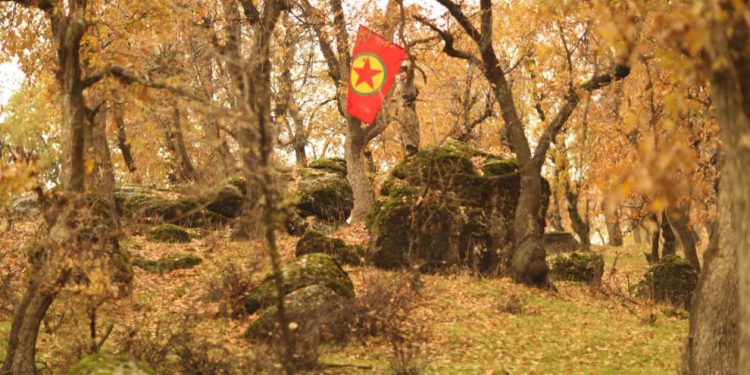 Li Zapê Operasyona Şoreşgerî: 10 dagirker hatin cezakirin