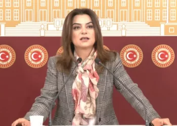 Lezgîn: Daxuyaniya Partiya DEM’ê ya li ser 3’yemîn hevdîtina Îmraliyê