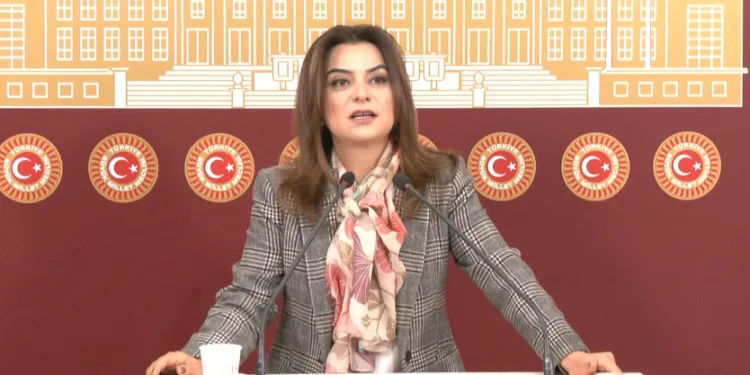 Lezgîn: Daxuyaniya Partiya DEM’ê ya li ser 3’yemîn hevdîtina Îmraliyê