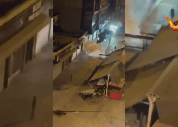 YCWK’ê li Mêrsîn, Elîh û Wanê çalakiyên hemwext pêk anîn