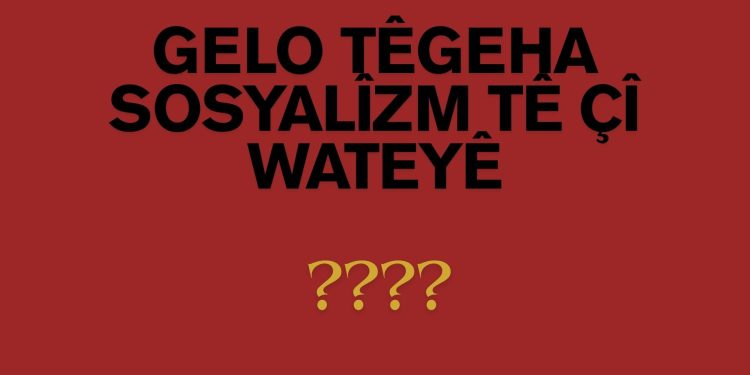 Gelo têgeha Sosyalîzm tê çî wateyê