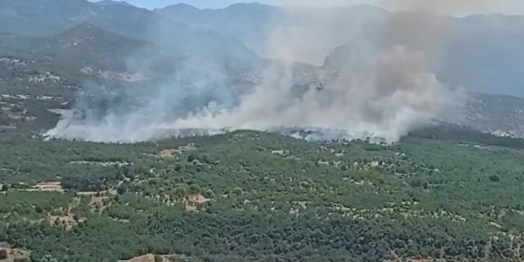 HPG: Artêşa Tirk êrîşên hewayî û bejahî dewam dike