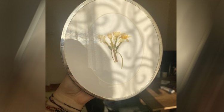 Bi minasebeta 8’ê Adarê, Rêber APO çar kulîlkên Nergîz diyarî hemû jinan kir