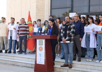 “Ev destûr hemû regezên demokrasiyê bin pê dike”