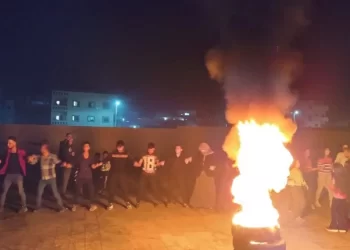 Ji aliyê Ciwanên Efrînê ve Cejna Newrozê