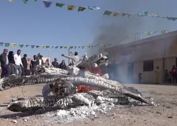 “Divê hemû ciwan bi coşa banga Rêber Apo qadên Newrozê hembêz bikin”