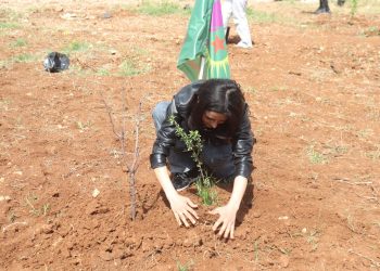 Ciwanên Kobanê bi boneya 4’ê Nîsanê şitil çandin