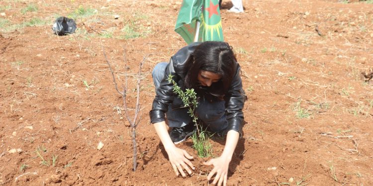 Ciwanên Kobanê bi boneya 4’ê Nîsanê şitil çandin