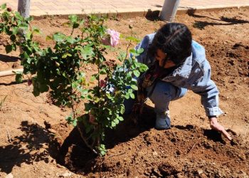 Yekîtiya Jinên Ciwan li Kobanê însiyatîfa Ekolojiyê da destpêkirin