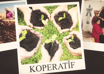 4 Lingen Netewa Demokratîk: Kooparatîf