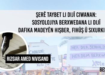 2. Şerê Taybet li dijî Ciwanan: Sosyolojiya Berxwedana li dijî Dafika Madeyên Hişber, Fihûş û Sixurkirinê