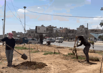 Li Hesekê çandina daran berdewam dike