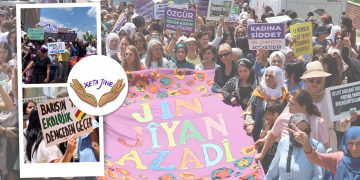 Jinên ciwan ji bo şehîd Ekin Van li kolanan Gimgim in