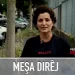 Bermal Çem: Werin Em Destê Rêberê Xwe Bi Sloganên Azadiya Xwe Xurt Bikin