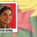 HPG-NRÇˊê nasnameya şehîd Zenda Bermal aşkera kir