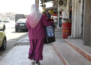 Li Hesekê hemleya hişmendiya jîngehî bi rê ve çû