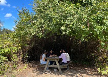 Jinên Ciwan li Kampa Manîfestoyê: Xwendin, Nîqaşkirin û Bi Hev re Rêxistinkirin ji bo Azadiyê