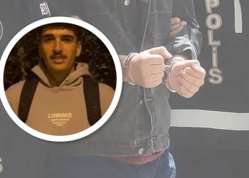 Li Wanê ciwanek hat girtin