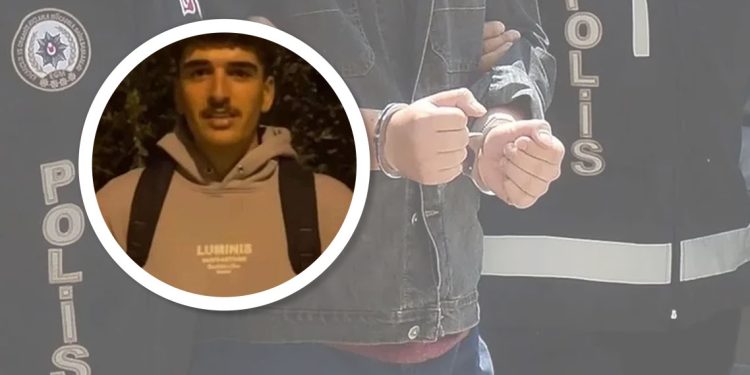 Li Wanê ciwanek hat girtin