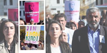 Li Zanîngeha Wanê Çalakiyên ji bo Rojin Kabaişe didome