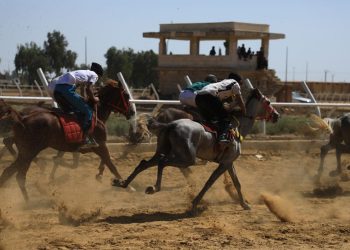 Li Reqa pêşbîrka hespan