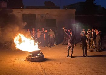 Ciwanên Dirbêsiyê li dijî nenaskirina Cejna Newrozê bertek nîşan dan