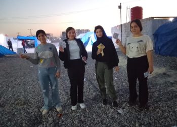 Yekîtiya Jinên Ciwan a Efrîn, Dijî Tundûtûjiyê Xebatê Hişyariyê Lidarxist