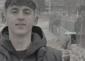 Li Kerboranê ciwanek hat kuştin