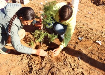 Komîna Ciwanan a Şehîd Egîd Saroxan Daran Diçîne Ji Bo Keskkirina Taxê