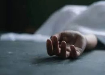 Li Humsê cenazeyê ciwanekî hat dîtin