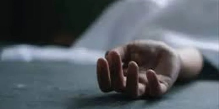 Li Humsê cenazeyê ciwanekî hat dîtin