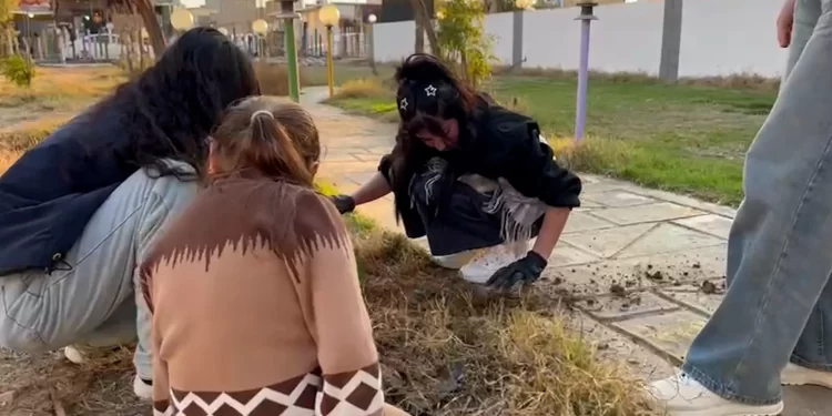 Jinen Ciwan Ji Bo Bîranina Şehîd Berfîn Nûrhaq Dar Çandin