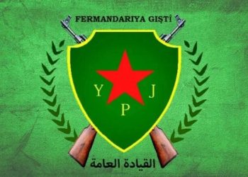 YPJ: Em Li Dora Destketiyên Xwe Yên Şoreşê Bibin Yek