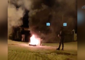 Ciwanan Li Kantona Cizîr Ji Bo Rojava Çalakî Li Dar Xistin