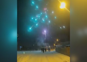 Ciwanên Wanê Ji Bo Rojava Çalakî Li Dar Dixin