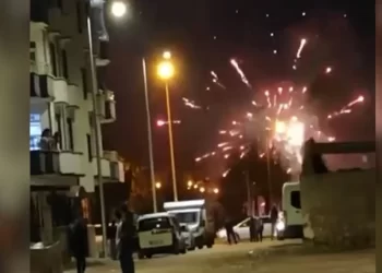 Ciwanên Welatparêz Li Êlîhê Çalakî Li Dar Xistin