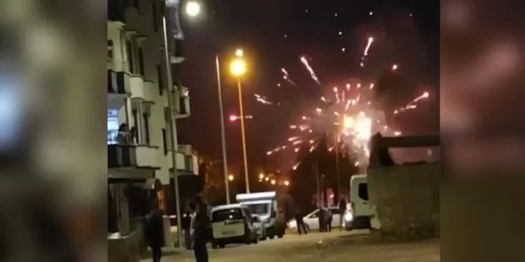 Ciwanên Welatparêz Li Êlîhê Çalakî Li Dar Xistin