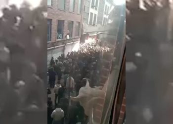 Li Îlamê Ciwanek Hate Qetilkirin