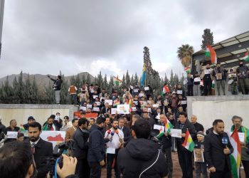 Gelê Dihokê Ji Bo Rojava Li Ser Piyane