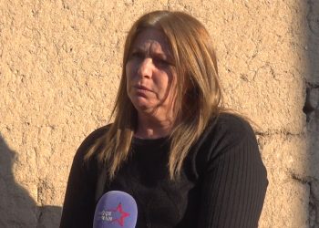 Şehîd Lewend, pêşengê şoreşa Rojava