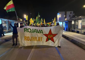 Polîsan Nikarîbû Ciwaniya Grigyn Rawestîne