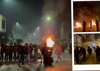 Ciwan Li Êlihê Çalakî Li Dar Xistin