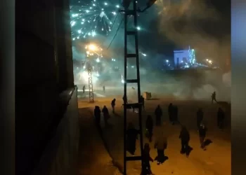 Ciwanên Welatparêz Li Wanê Ji Bo Rojava Çalakî Lidar Dixin