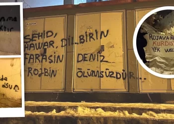 Li Dêrsim û Amed Ji Bo Rojava Çalakî