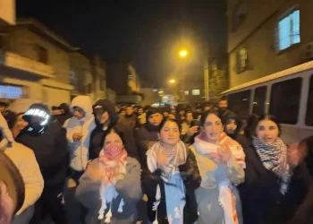 Li Mersînê Ji Bo Piştgiriya Rojava Bi Pêşengiya Ciwanan Çalakî Hate Lidarxistin