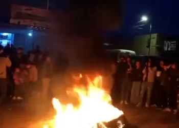 Ciwanên Şengalê Ji Bo Rojava Çalakî Li Dar Dixin