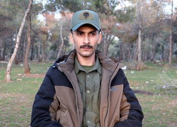 Ciwanekî Ereb Di Nav QSD De: Neyên Lîstokên Dewletên Derve